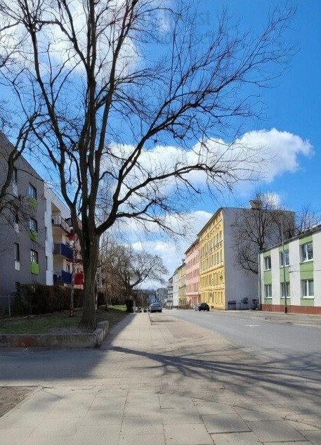 Lokal Wynajem Szczecin Śródmieście Jana Kazimierza