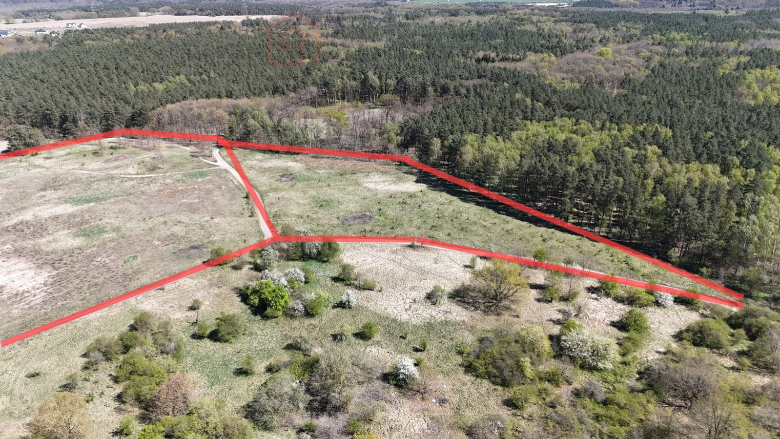 Działka Sprzedaż Daleszewo Sportowa 9