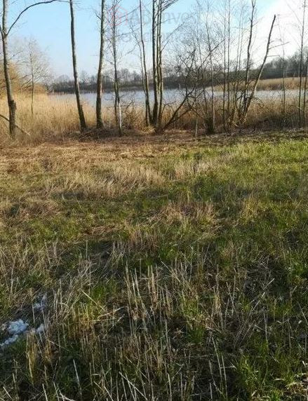 Działka Sprzedaż Kaszewo