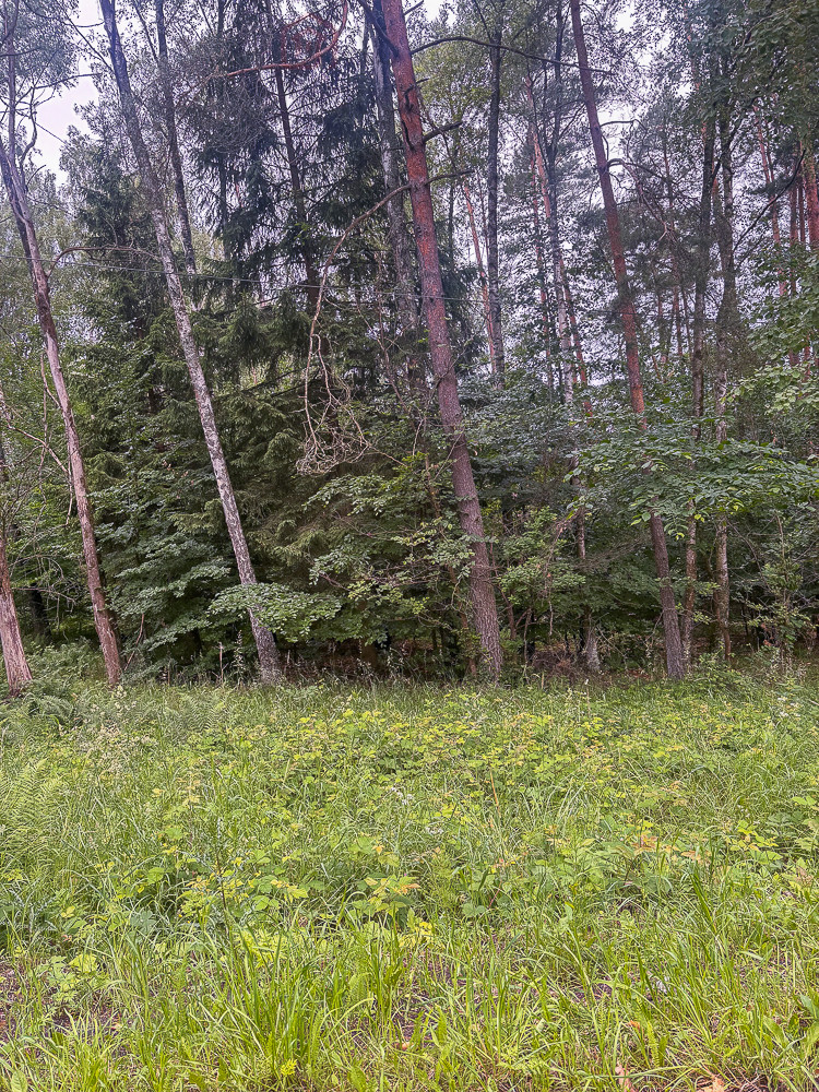 Działka Sprzedaż Piaseczno