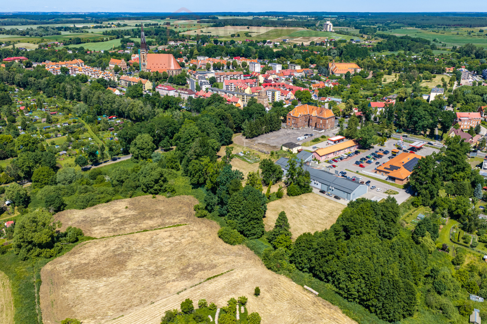 Działka Sprzedaż Chojna