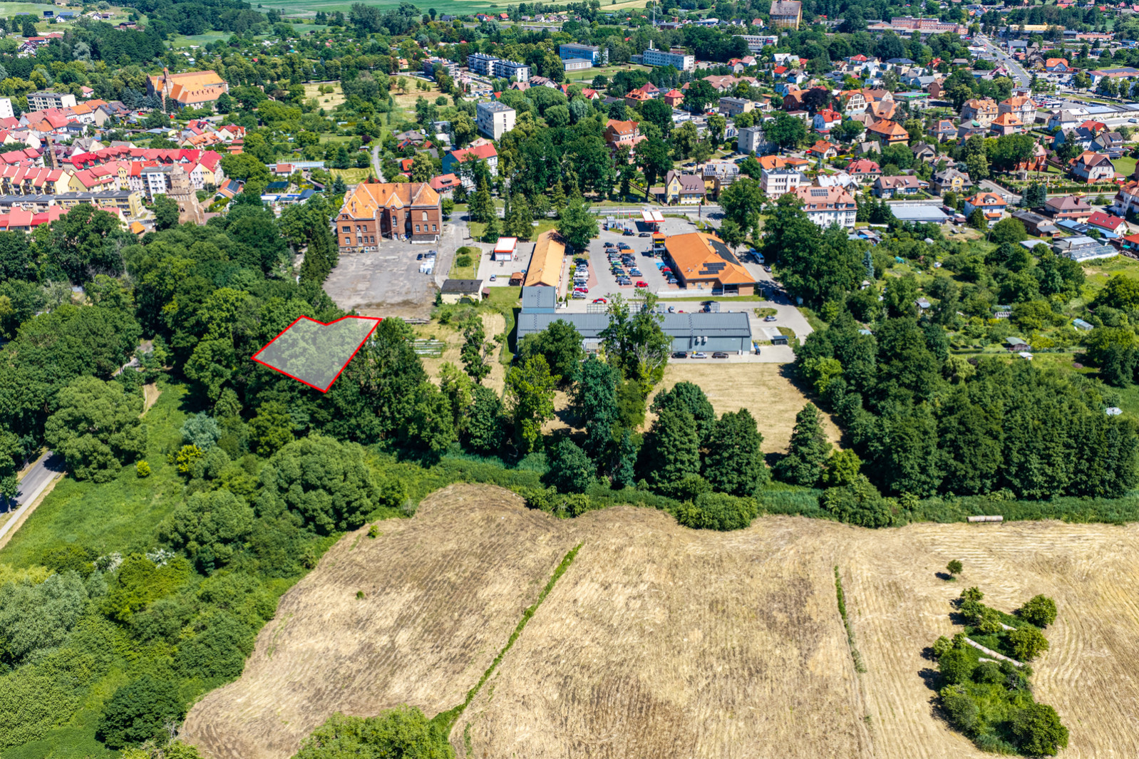 Działka Sprzedaż Chojna