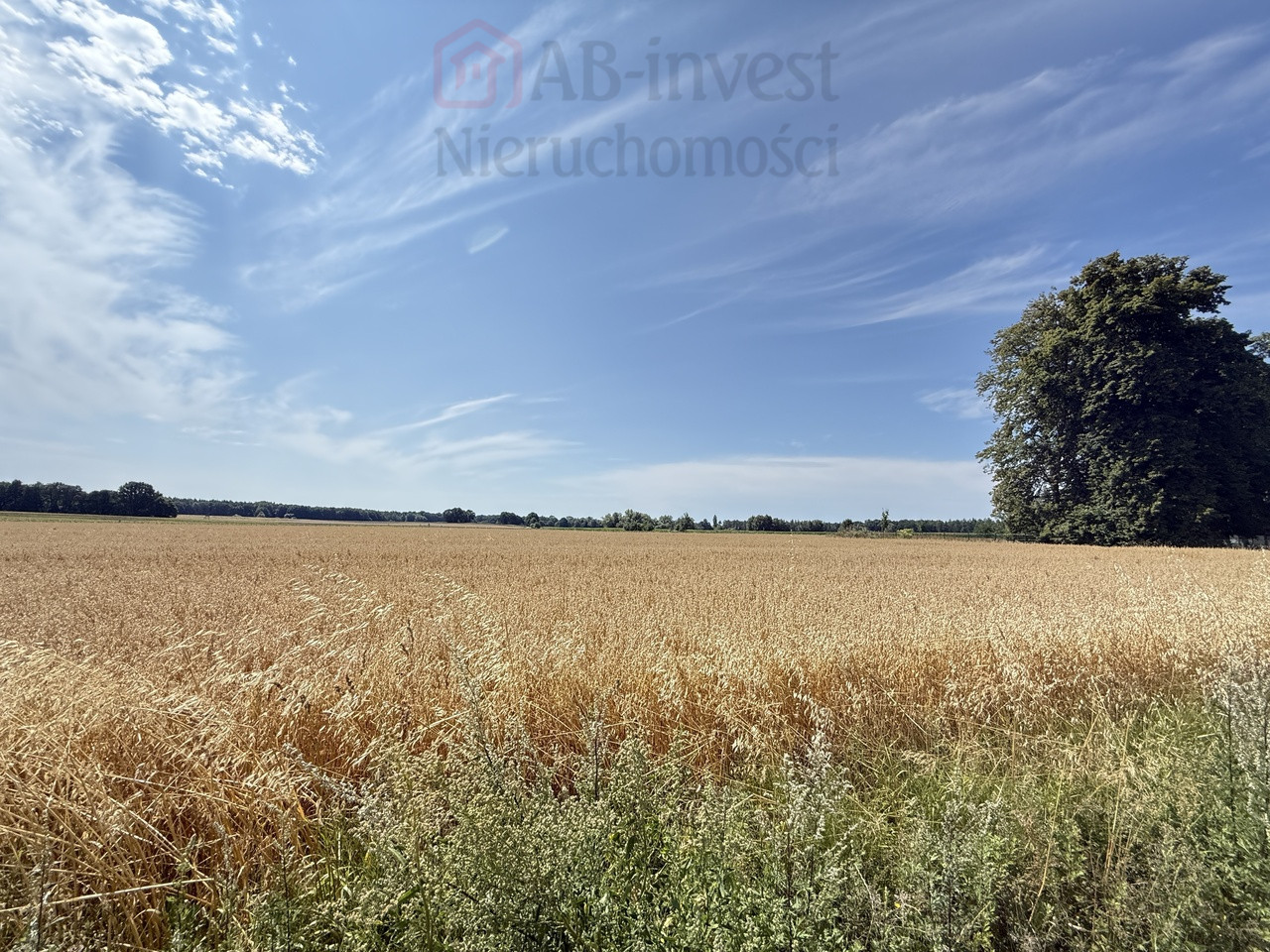 Działka Sprzedaż Oświno 20