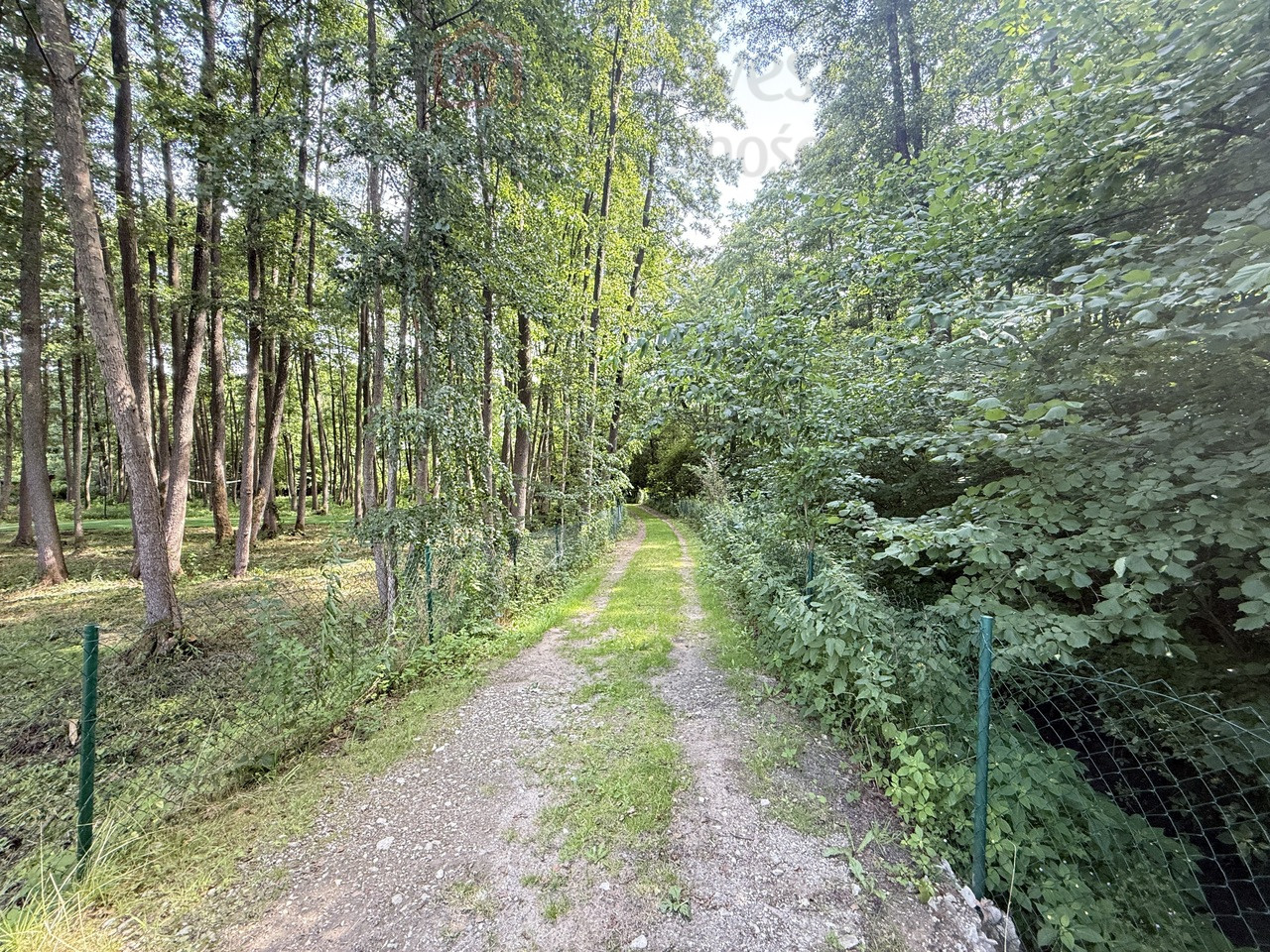Działka Sprzedaż Oświno 19