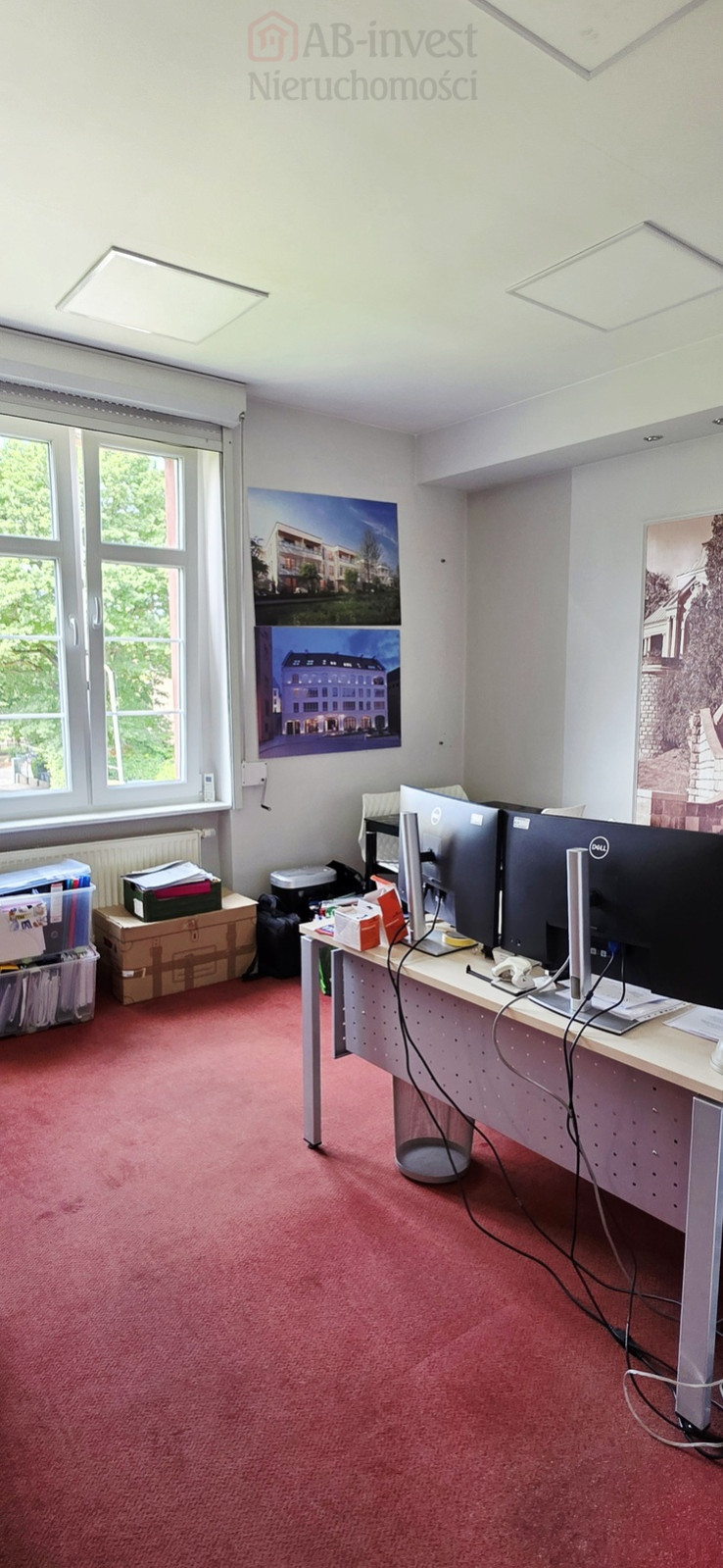 Lokal Wynajem Szczecin Centrum Michała Kleofasa Ogińskiego 10