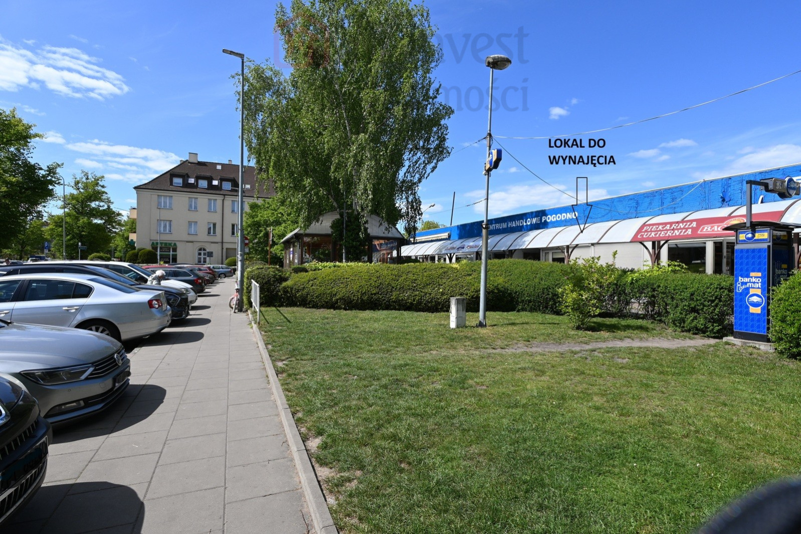 Lokal Wynajem Szczecin Pogodno 1