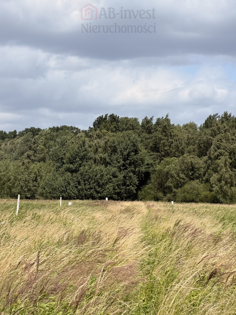 Działka Sprzedaż Niedźwiedź