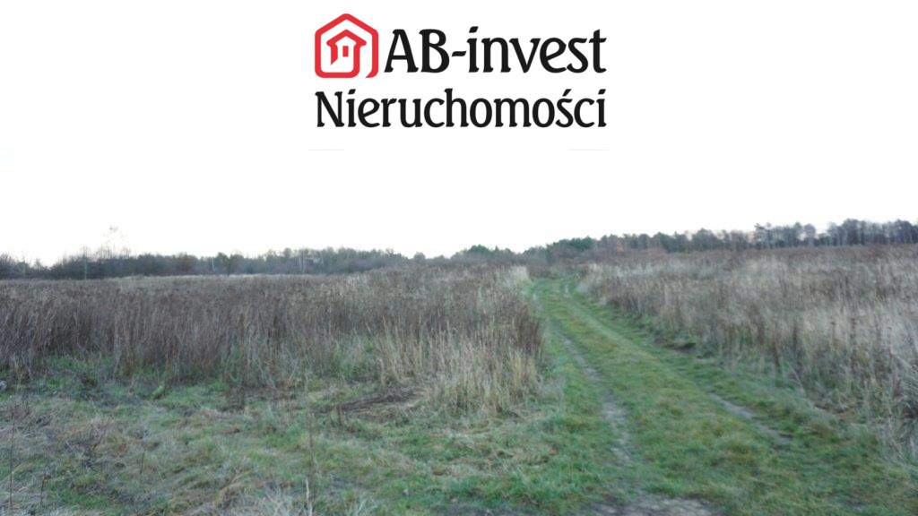 Działka Sprzedaż  Kijewko 1