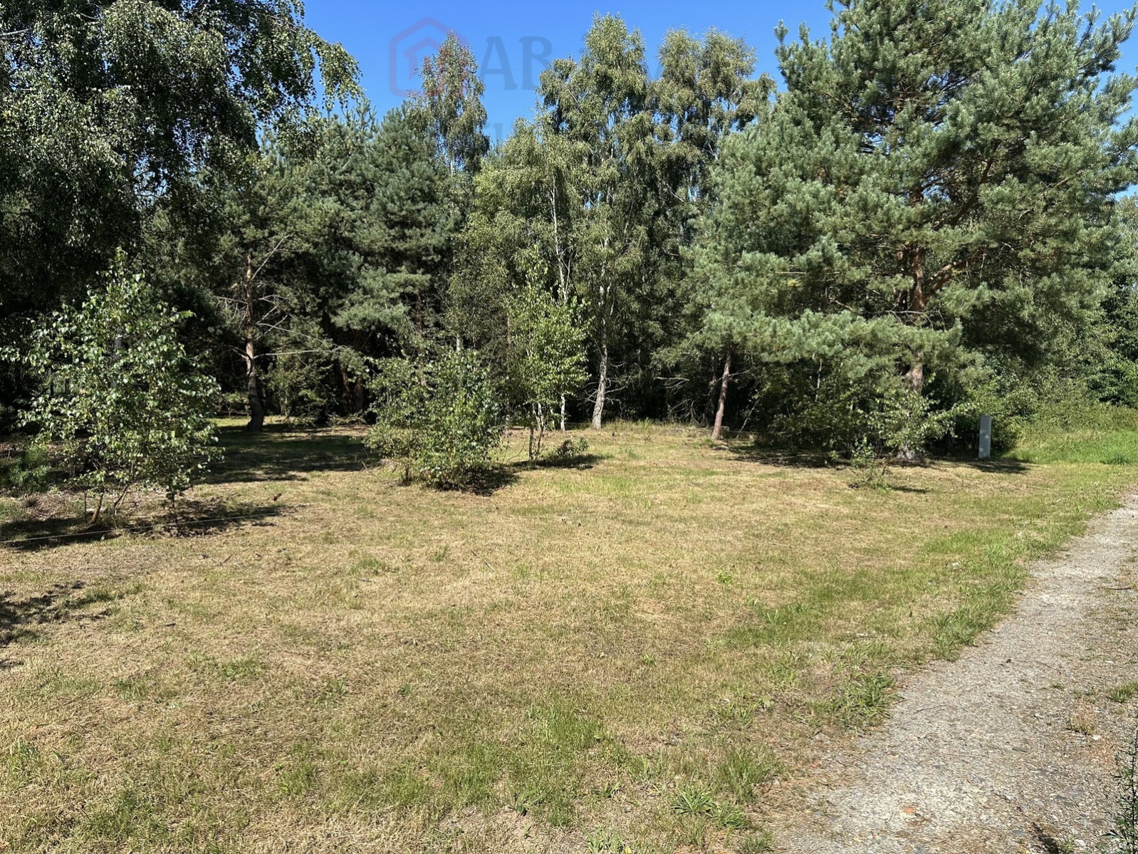 Działka Sprzedaż Ładzin 5
