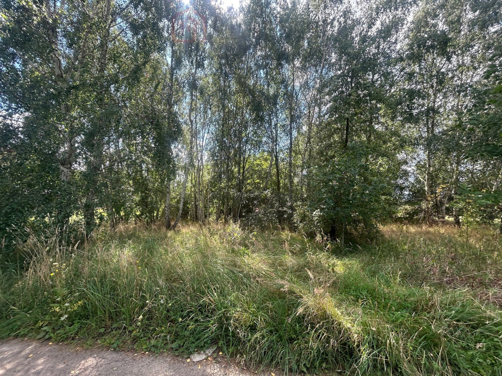 Działka Sprzedaż Dołuje