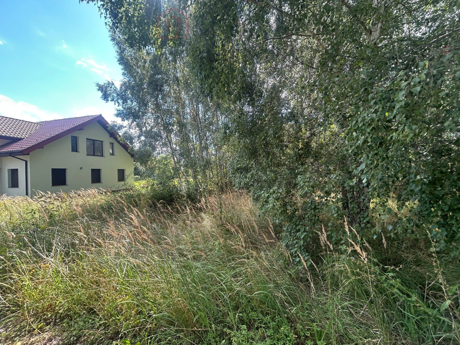 Działka Sprzedaż Dołuje