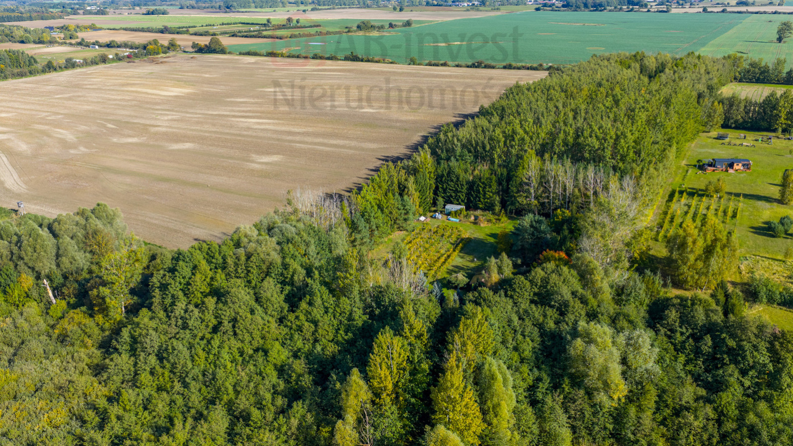 Działka Sprzedaż Wełtyń 14