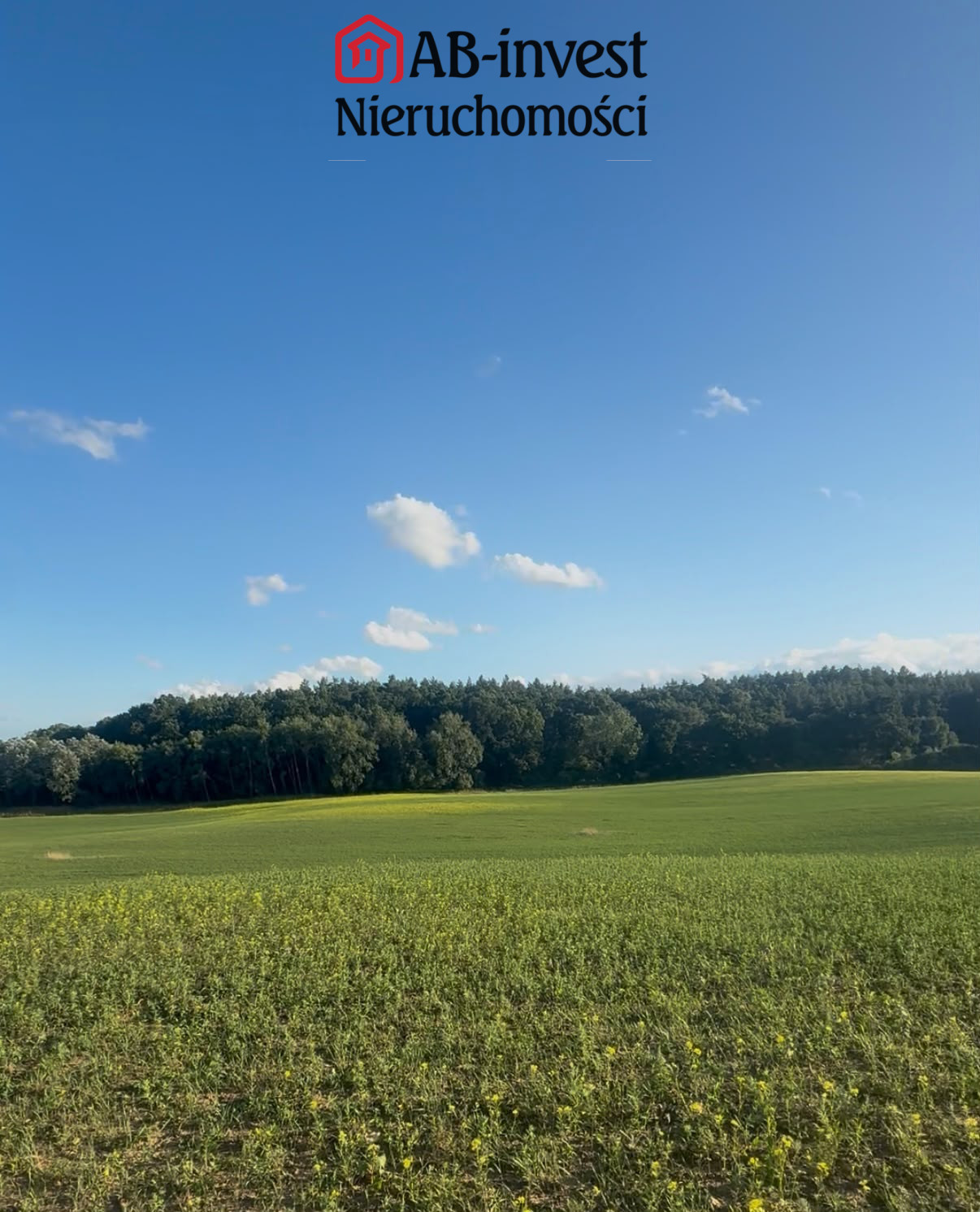 Działka Sprzedaż Buk 1