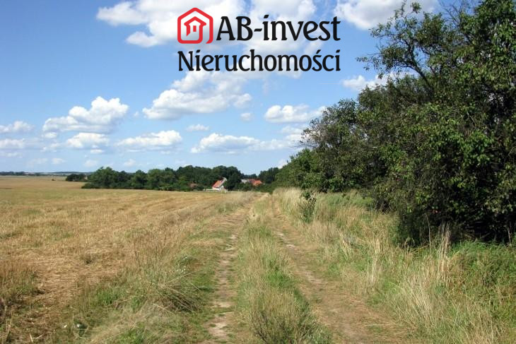 Działka Sprzedaż Barnisław