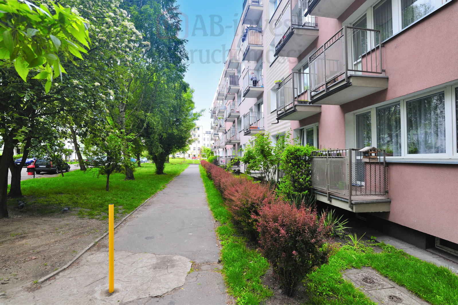 Mieszkanie Wynajem Szczecin Śródmieście Miedziana