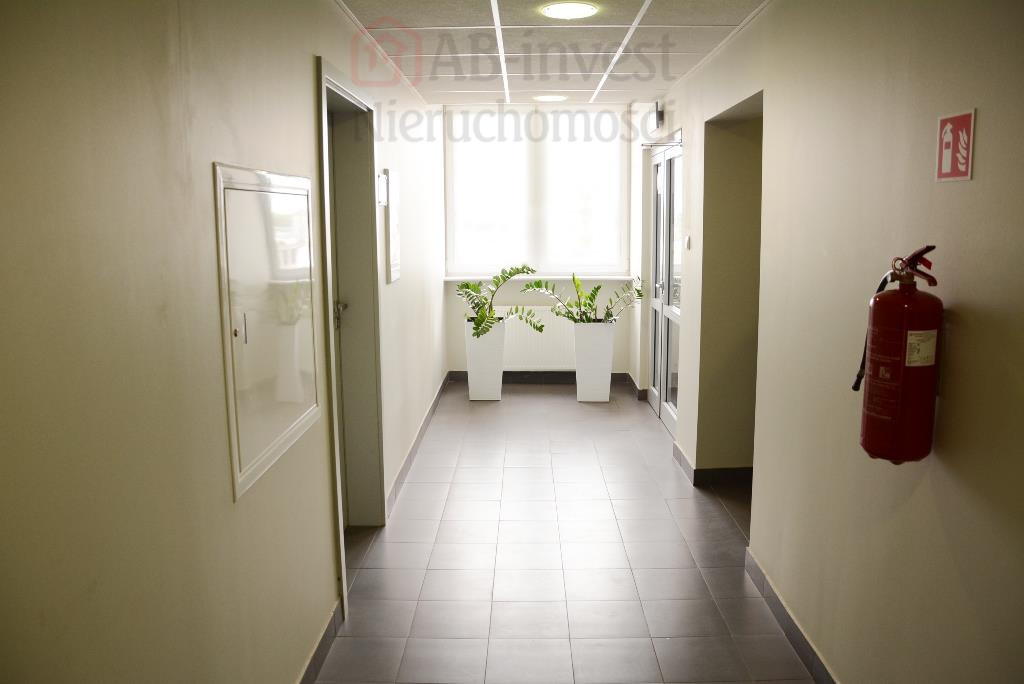 Lokal Wynajem Szczecin Śródmieście 9