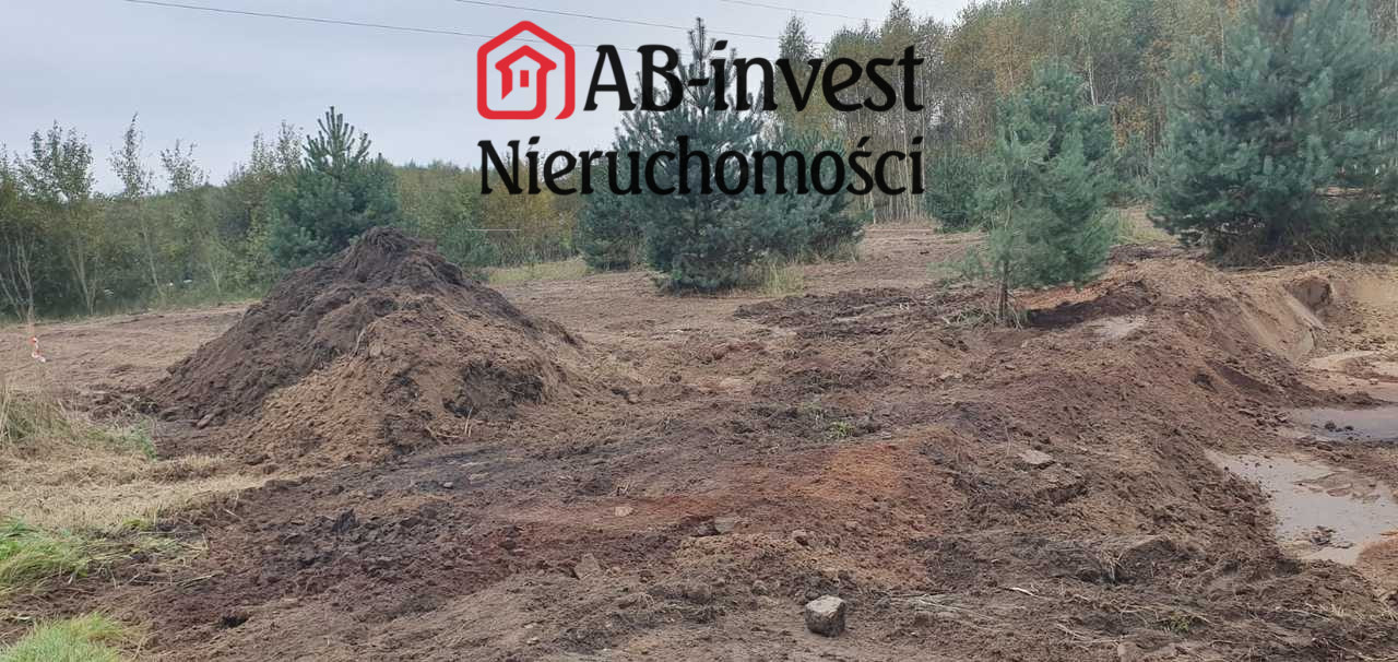 Działka Sprzedaż Borzyszewo 10