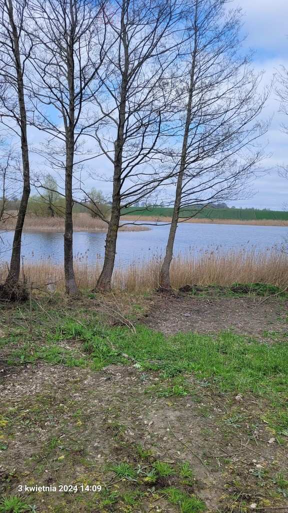 Działka Sprzedaż Zieleniewo 1