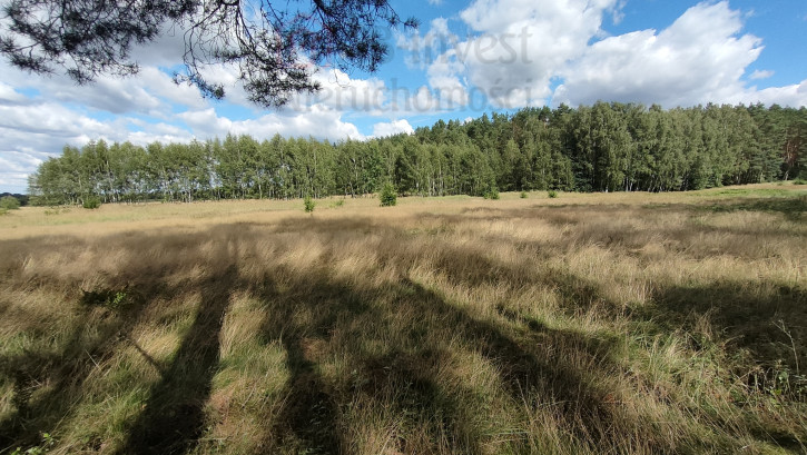 Działka Sprzedaż Komarowo 5