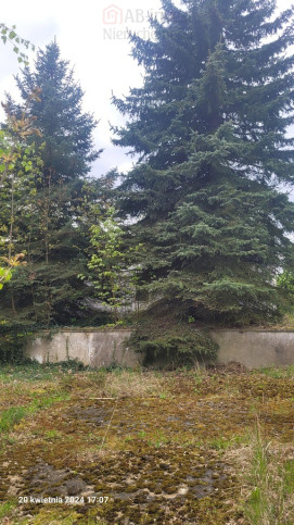 Działka Sprzedaż Recz Kolejowa 1