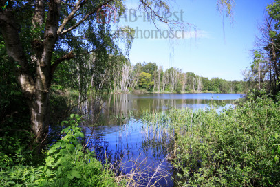 Działka Sprzedaż Bartoszewo