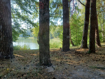 Działka Sprzedaż Bartoszewo