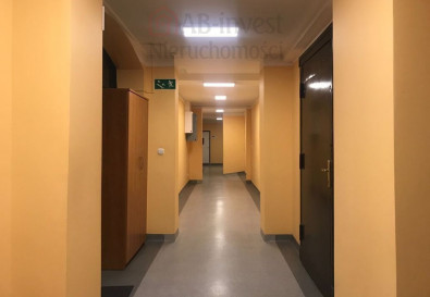 Lokal Wynajem Szczecin Śródmieście