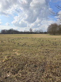 Działka Sprzedaż Rzędziny