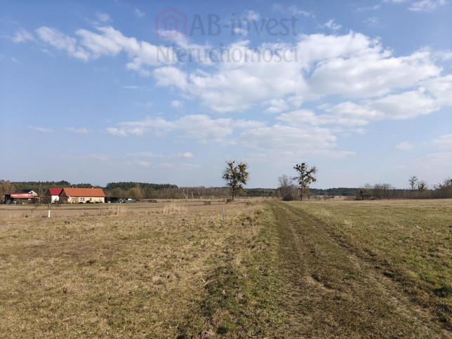 Działka Sprzedaż Stepnica 2