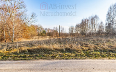 Działka Sprzedaż Ścienne