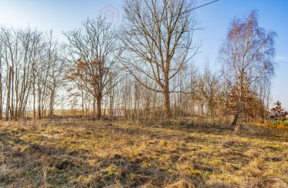 Działka Sprzedaż Ścienne