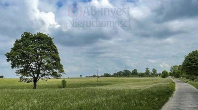 Działka Sprzedaż Dołgie