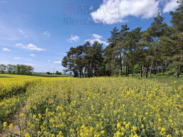 Działka Sprzedaż Parsów