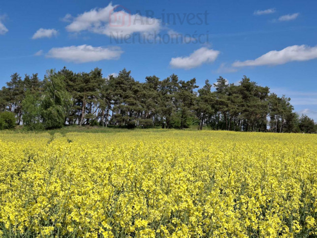 Działka Sprzedaż Parsów 1