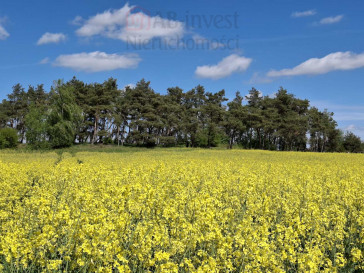 Działka Sprzedaż Parsów