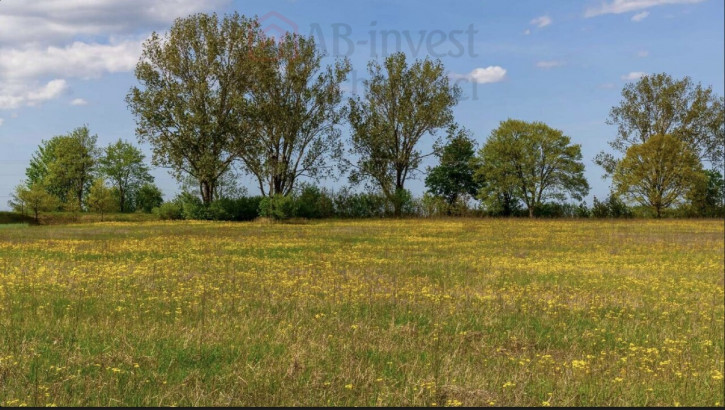 Działka Sprzedaż Jarnatów 2