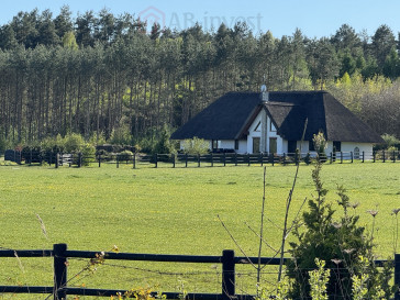 Dom Sprzedaż Kamień Pomorski
