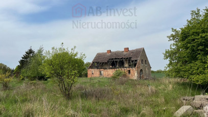 Działka Sprzedaż Plöwen, Löcknitz-Penkun, Vorpommern-Greifswald, Meklemburgia-Pomorze Przednie, 17322, Niemcy retziner weg