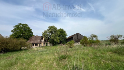 Działka Sprzedaż Plöwen, Löcknitz-Penkun, Vorpommern-Greifswald, Meklemburgia-Pomorze Przednie, 17322, Niemcy retziner weg
