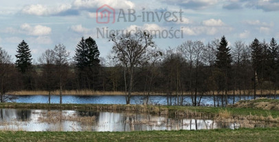 Działka Sprzedaż Wapnica