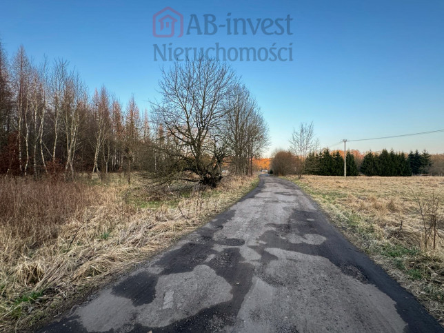 Działka Sprzedaż Błotno Błotny Młyn 1