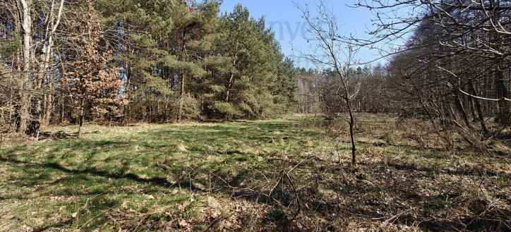 Działka Sprzedaż Nowogard 11