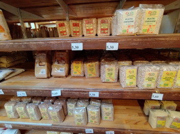Lokal Sprzedaż Szczecin Pogodno