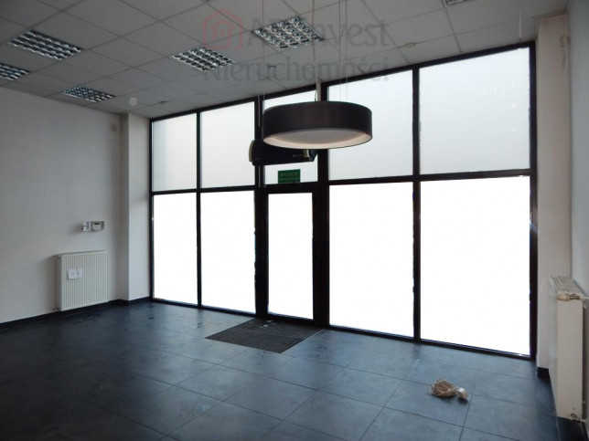 Lokal Wynajem Szczecin Centrum 4