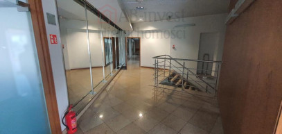 Lokal Wynajem Szczecin Śródmieście-Centrum