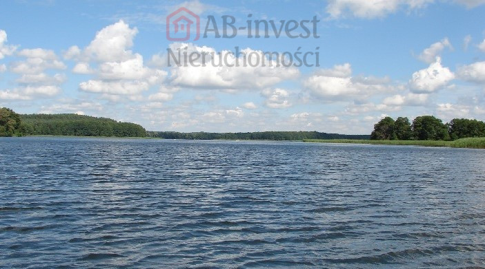 Działka Sprzedaż Dąbrowica 1