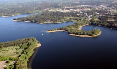 Działka Sprzedaż Dąbrowica