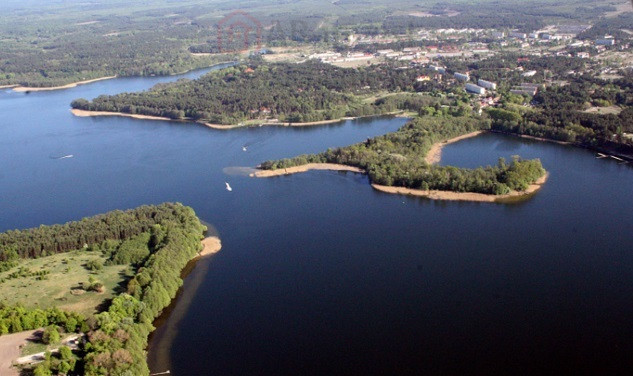Działka Sprzedaż Dąbrowica 4