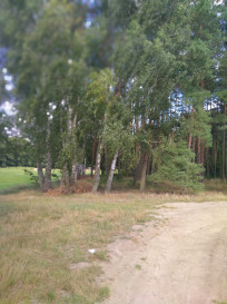 Działka Sprzedaż Tanowo Szczecińska