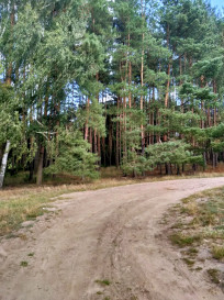 Działka Sprzedaż Tanowo Szczecińska